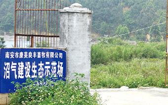 沼氣發(fā)電項(xiàng)目_燃?xì)獍l(fā)電機(jī)項(xiàng)目