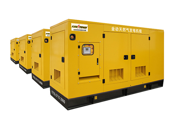 高壓天然氣發(fā)電機(jī)組 江蘇天然氣發(fā)電機(jī)組 600KW天然氣發(fā)電機(jī)組