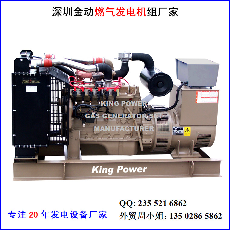 燃?xì)獍l(fā)電機(jī)